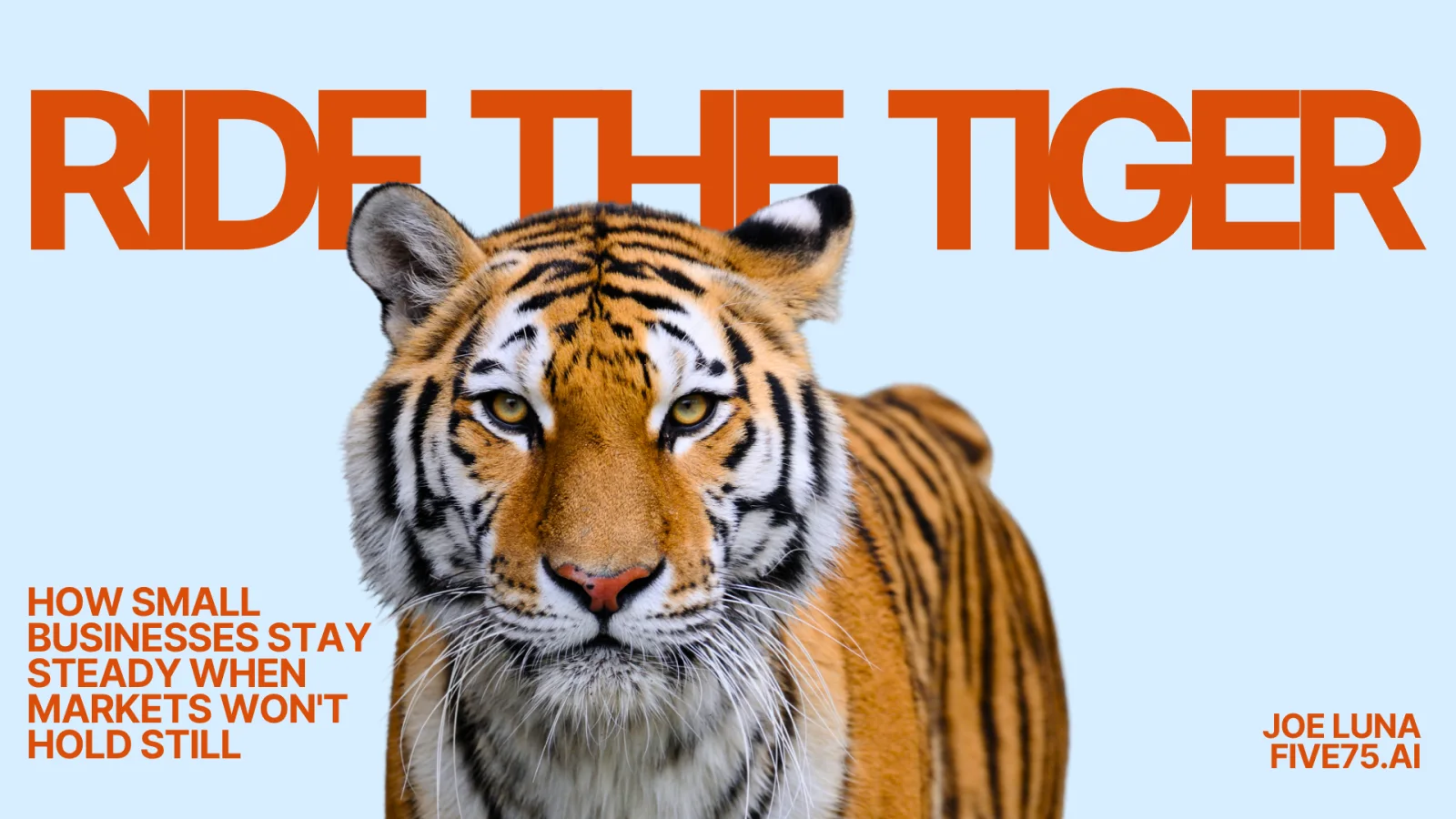 Ride the Tiger: how small businesses stay steady when markets will not hold still